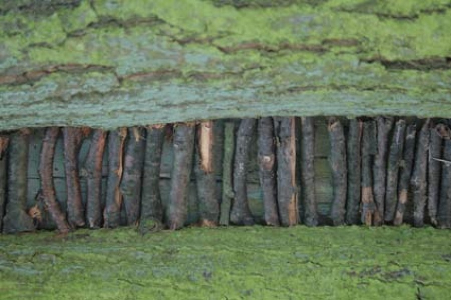 wróć do wydarzenia